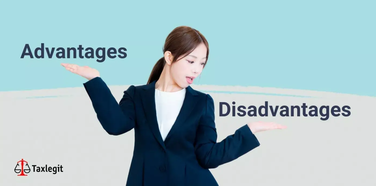 Advantages and Disadvantages of Private Limited Companies