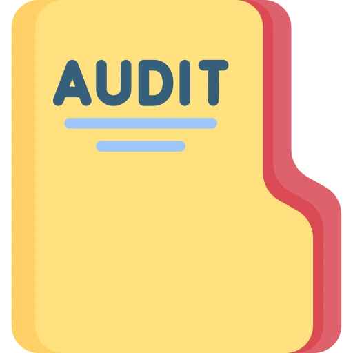 Audit & Inspection Support